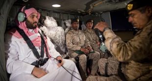The Saudi government executed its pilots and soldiers1