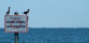 Florida beach