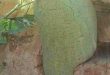 sRzjfjMFWl9uIg1OFIO4 smMz3e9iPttIsD7ea 8xctliSlBZzbdC1IJ8rcQf6L0MZ9ela479No7XI2YY8JueKedb7uYFCHg 09