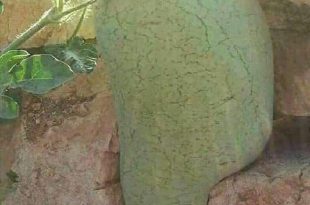 sRzjfjMFWl9uIg1OFIO4 smMz3e9iPttIsD7ea 8xctliSlBZzbdC1IJ8rcQf6L0MZ9ela479No7XI2YY8JueKedb7uYFCHg 09